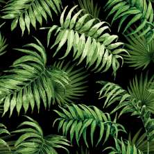 Papel de Parede Folhas Preto e Verde (950x52)