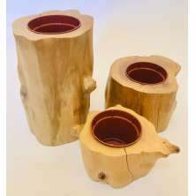 Vaso para Suculentas e Cactos
