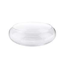 Vaso Mini Terrário de Vidro para Suculentas 9x15x18cm 