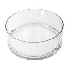 Vaso Redondo Floreira Terrario Cilindro em Vidro Suculentas, Arranjos 24x10cm 