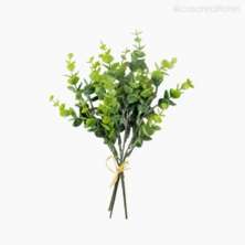 Buquê Eucalyptus com Rafia Verde
