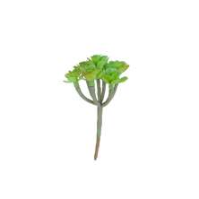 Mini Suculente Artificial Verde 11x6 cm