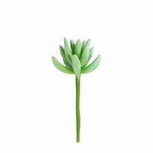 Mini Suculente Artificial Verde 12x5 cm