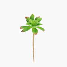 Planta Artificial Suculenta Verde e Vermelha