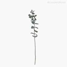 Galho Decorativo Eucalyptus Azul