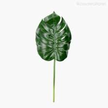 Galho Decorativo Monstera Verde