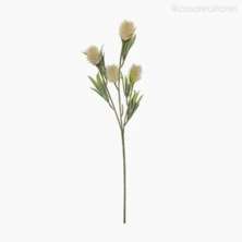 Galho Decorativo Teasel Verde