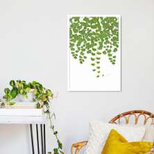 Quadro Adiantum Capillus Veneris 100x70 Caixa Branco