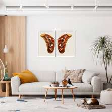 Quadro Asas de Borboleta Boho 142x100 2-100x70 Caixa Branco