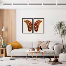 Quadro Asas de Borboleta Boho 142x100 2-100x70 Caixa Preto
