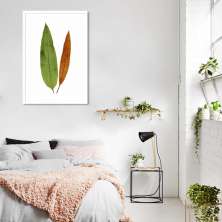 Quadro Botânica Acrostichum Brevipes 100x70 Caixa Branco