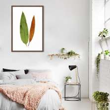 Quadro Botânica Acrostichum Brevipes 100x70 Caixa Marrom