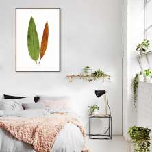 Quadro Botânica Acrostichum Brevipes 43x30 Filete Marrom