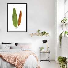 Quadro Botânica Acrostichum Brevipes 86x60 Caixa Preto