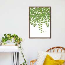 Quadro Botânica Adiantum Capillus Veneris 60x43 Caixa Marrom