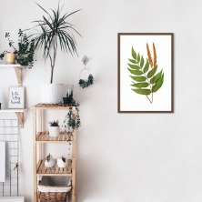 Quadro Botânica Anemidictyon Phyllitidis 86x60 Caixa Marrom