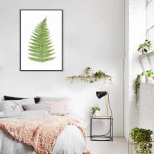 Quadro Botânica Aspidium Angulare 86x60 Filete Preto