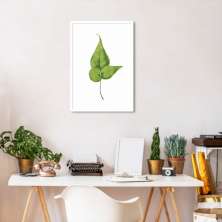Quadro Botânica Folha Adiantum Wilsoni 43x30 Caixa Branco