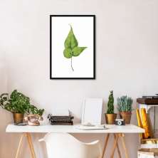 Quadro Botânica Folha Adiantum Wilsoni 43x30 Caixa Preto