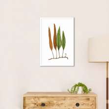 Quadro Botânica Folhas Niphobolus Ingua 43x30 Caixa Branco