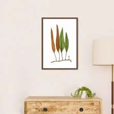 Quadro Botânica Folhas Niphobolus Ingua 43x30 Caixa Marrom