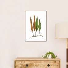 Quadro Botânica Folhas Niphobolus Ingua 43x30 Filete Marrom