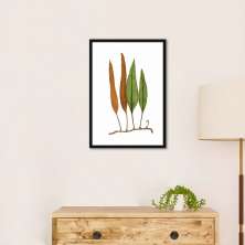 Quadro Botânica Folhas Niphobolus Ingua 86x60 Caixa Preto