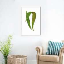 Quadro Botânica Polypodium Nitidum 86x60 Caixa Branco