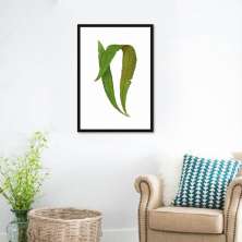 Quadro Botânica Polypodium Nitidum 86x60 Caixa Preto