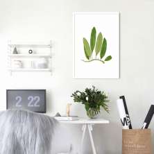 Quadro Botânica Polypodium Squamulosum 100x70 Caixa Branco