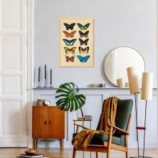 Quadro Vintage Borboletas Coloridas 43x30 Caixa Marfim