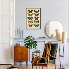 Quadro Vintage Borboletas Coloridas 43x30 Caixa Marrom