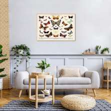 Quadro Vintage Borboletas II 43x30 Filete Marfim