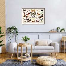 Quadro Vintage Borboletas II 43x30 Filete Marrom