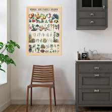 Quadro Vintage Botânica Alimentos 86x60 Caixa Marfim
