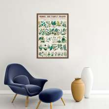 Quadro Vintage Botânica Flores e Plantas 43x30 Caixa Marrom