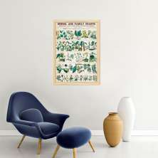 Quadro Vintage Botânica Flores e Plantas 60x43 Caixa Marfim
