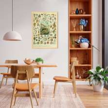 Quadro Vintage Moluscos 100x70 Caixa Marfim