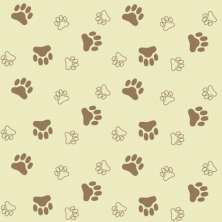 Papel de Parede Kids Patinhas Cachorro