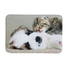 Tapete de Entrada Grand Pet Cochilo Bege 40cm x 60cm Attuale Corttex