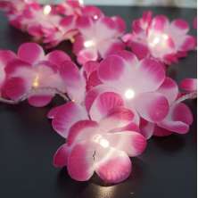 Cordão Luminoso Luz de Fada Flor Rosa e Pink Degradê