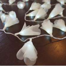 Cordão Luminoso Luz de Fada Organza Amarela 110v