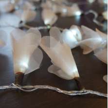 Cordão Luminoso Luz de Fada Organza Champagne 110v