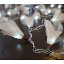 Cordão Luminoso Luz de Fada Organza Champagne