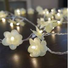 Cordão de Luz - Luz de Fada Florzinha Bege 110v