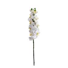 Flor Orquídea Phalaenopsis Artificial Branco 77 cm - D'Rossi
