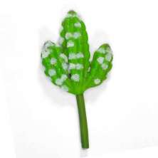 Folhagem Artificial Suculenta Cacto 10cm - D'Rossi