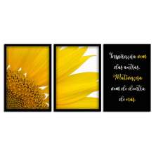 Kit 03 Quadros Decorativos "Motivação" 43X33X1CM - D'Rossi
