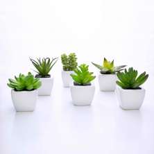 Kit 06 Suculentas Artificial Sortida Vaso Branco 6x6 cm - D'Rossi