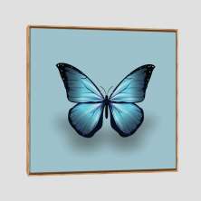 Quadro Borboleta Azul Tela Moldura Bege 40X40Cm